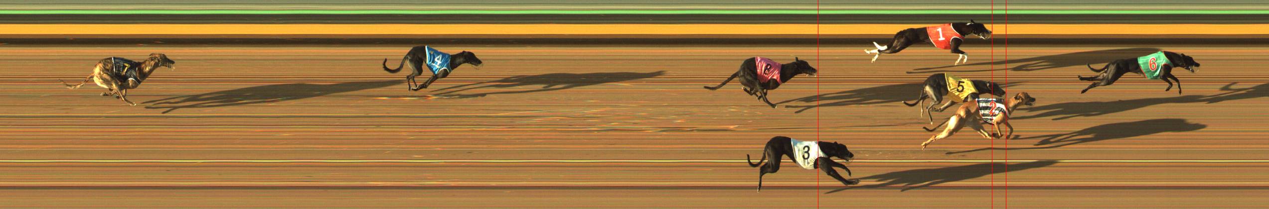 Race result finish photo